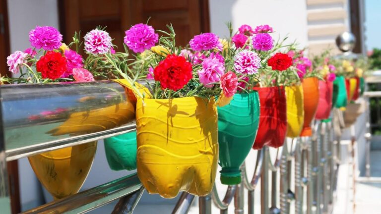 This simple gesture transforms plastic bottles into a stunning hanging garden…