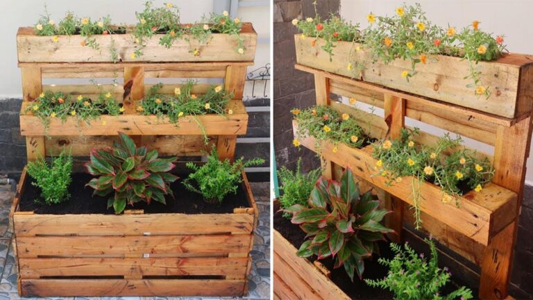 Discover how upcycling old pallets transforms your garden into a stunning oasis…