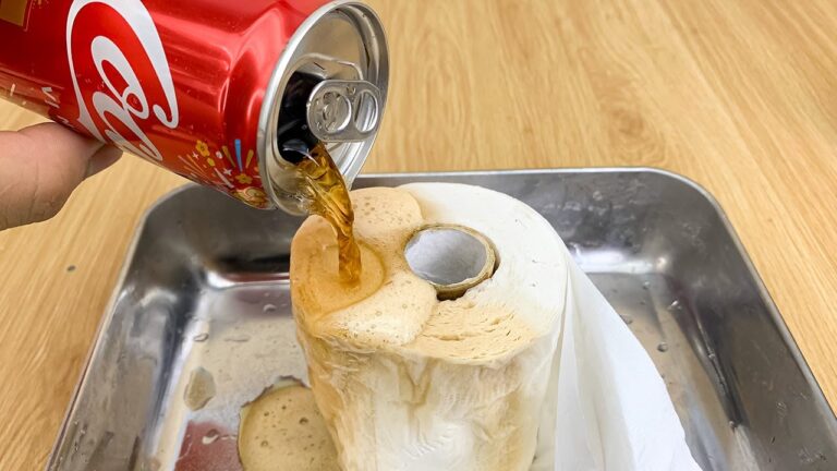Turn Toilet Paper into Cash: 7 Surprising Ways to Use Coca-Cola!