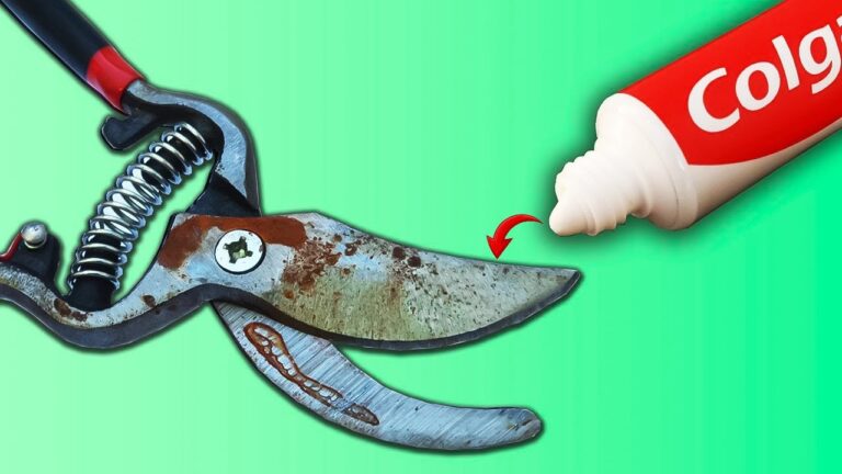 Sharpen Scissors Like New: 5 Simple Steps to Achieve Razor Sharpness at Home!