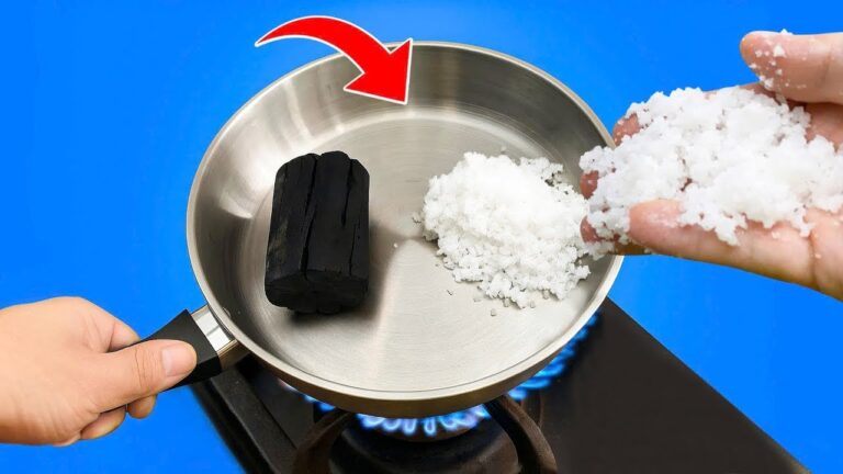 Unlock 5 Ways Charcoal and Salt Can Boost Your Income Today!