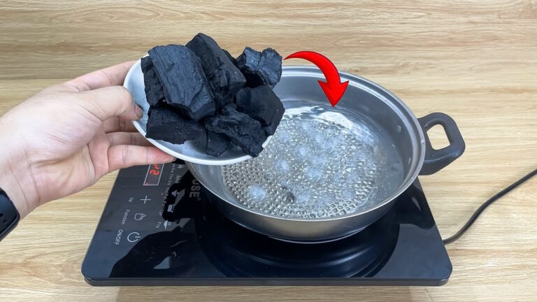 Discover 5 Ways to Profit from Boiling Charcoal You Never Knew About!