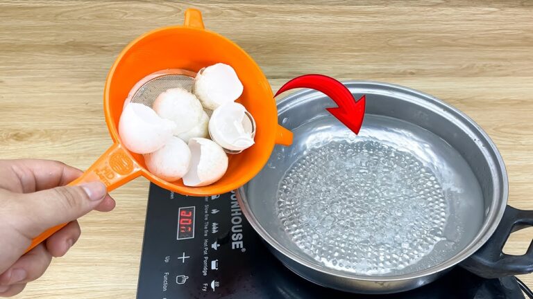 Transform 10 Eggshells into Cash: Discover This Simple Money-Making Hack!