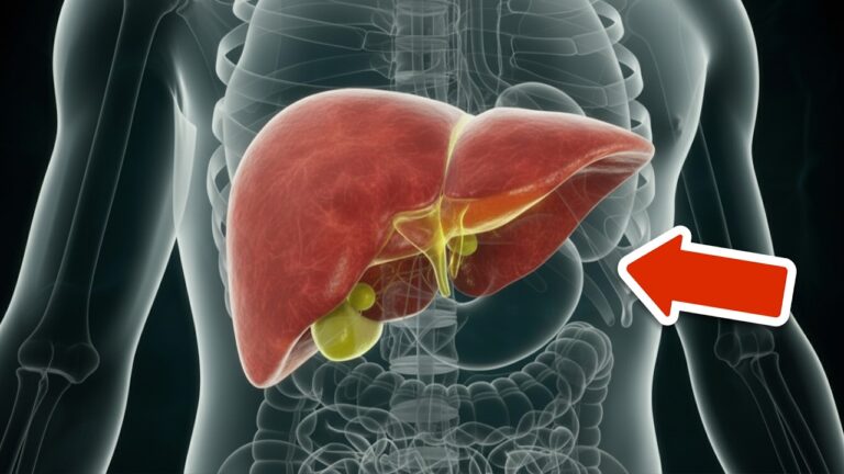 6 Warning Signs Your Liver Is Toxic: Act Now to Protect Your Health!