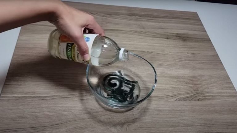 Dip a Mosquito Coil in Vinegar: The Surprising Outcome Revealed!