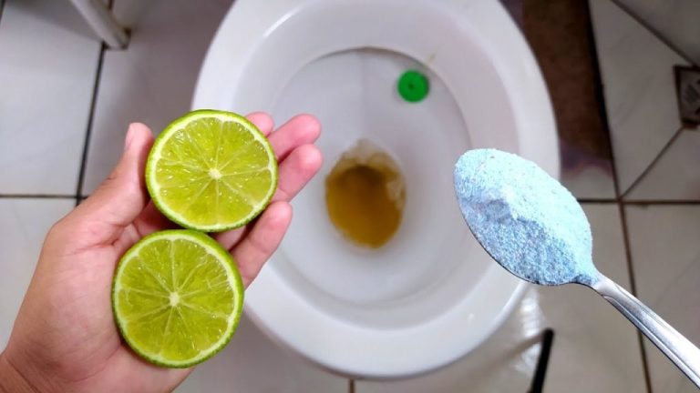 Keep Your Toilet Sparkling for Weeks with Just a Few Drops!
