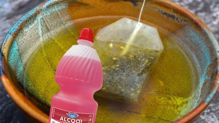 Dip a Tea Bag in Alcohol and Watch the Magic Unfold!