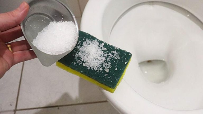 Transform Your Bathroom: The Free Natural Method for Freshness