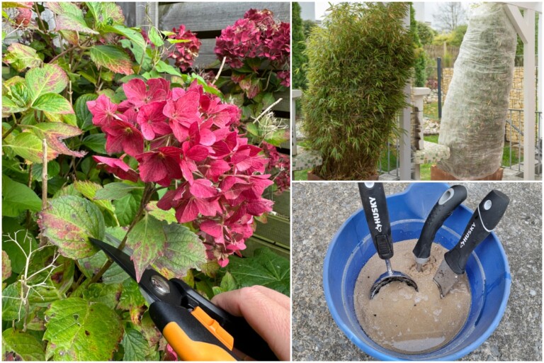 10 Garden Mistakes to Avoid This Fall for a Thriving Spring