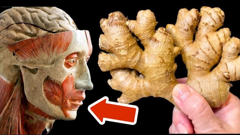 7 Surprising Benefits of Eating Ginger Daily for Your Health and Wellness
