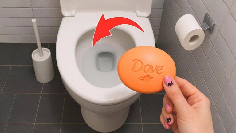 Discover 36 Useful Home Hacks That Will Transform Your Space Today!