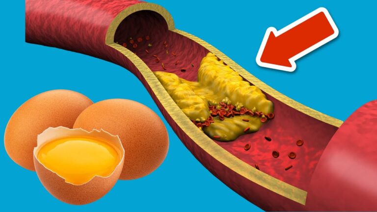 5 Surprising Facts About Eggs and Cholesterol You Need to Know!