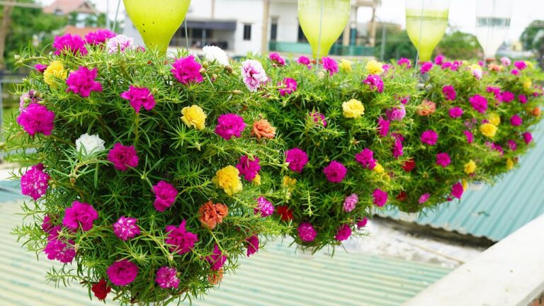 10 Creative Ways to Recycle Plastic Bottles into a Stunning Balcony Garden!