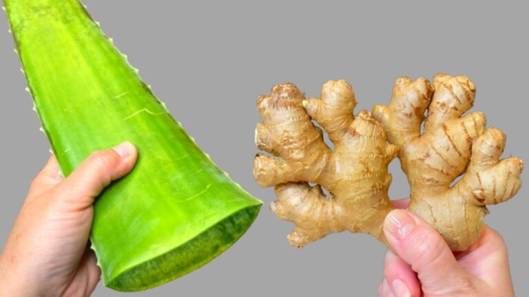 150x Stronger Than Garlic: Discover This Natural BOMB to Destroy Bacteria!