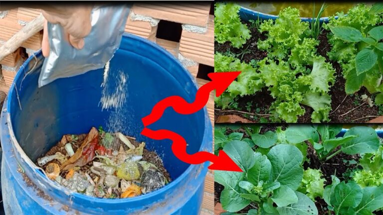 Transform 5 Kitchen Wastes into Organic Fertilizer for Thriving Home Crops!