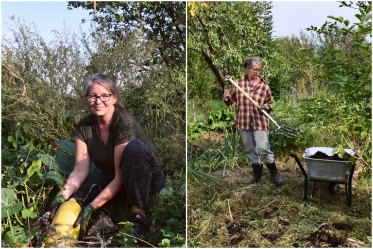 9 Essential Fall Tasks for Your No-Dig Garden: Plant, Harvest, and Mulch