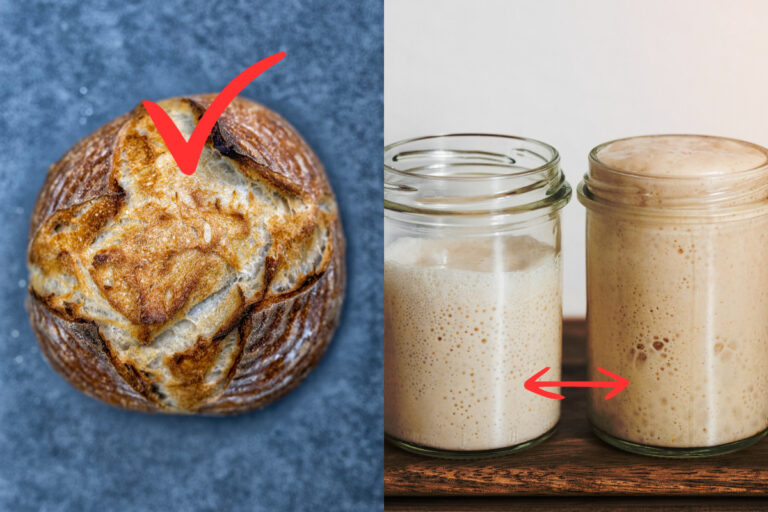 11 Sourdough Baking Mistakes and How I Overcame Them